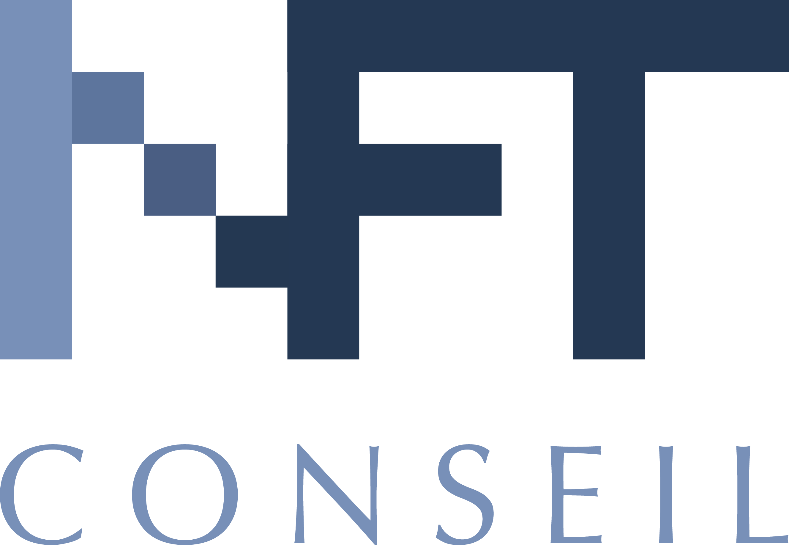 logo bleu NFT Conseil pixel